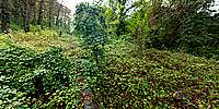 Micro Panorama Thumbnail for Social Sharing Sites