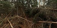 Micro Panorama Thumbnail for Social Sharing Sites