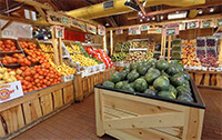 Micro Panorama Thumbnail for Social Sharing Sites
