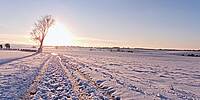 Micro Panorama Thumbnail for Social Sharing Sites