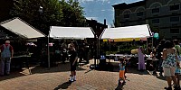 Micro Panorama Thumbnail for Social Sharing Sites