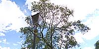 Micro Panorama Thumbnail for Social Sharing Sites