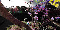 Micro Panorama Thumbnail for Social Sharing Sites