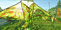 Micro Panorama Thumbnail for Social Sharing Sites