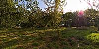 Micro Panorama Thumbnail for Social Sharing Sites