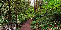 Micro Panorama Thumbnail for Social Sharing Sites
